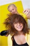 Blow Dry 1
